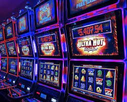 netwin bet